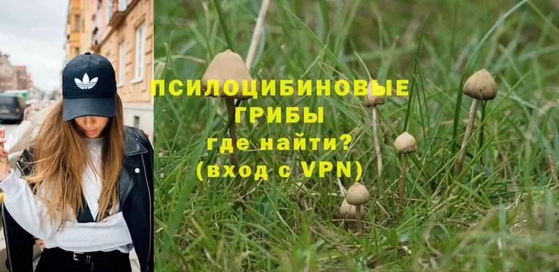 купить наркотики цена  Верхнеуральск  Псилоцибиновые грибы MAGIC MUSHROOMS 